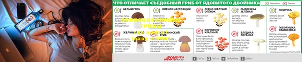 МДПВ Семёнов