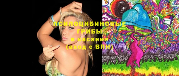 МДПВ Семёнов