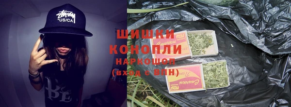 МДПВ Семёнов