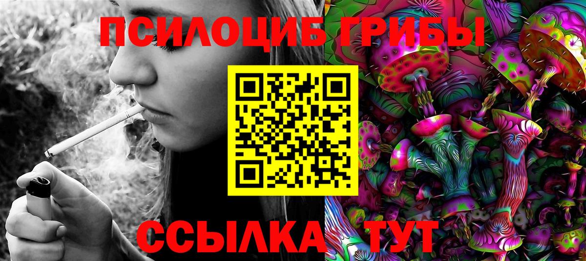 Галлюциногенные грибы Cubensis Рославль