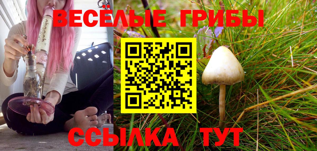 Рославль  Галлюциногенные грибы Magic Shrooms  Вход с VPN 